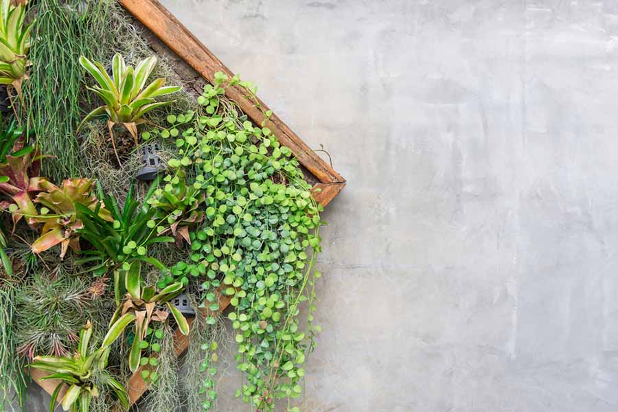 Jardín vertical: La tendencia veraniega para llenar de plantas tu casa