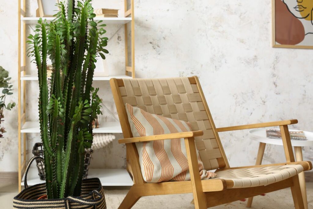 ambiente saludable en casa