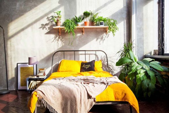 plantas en la habitación