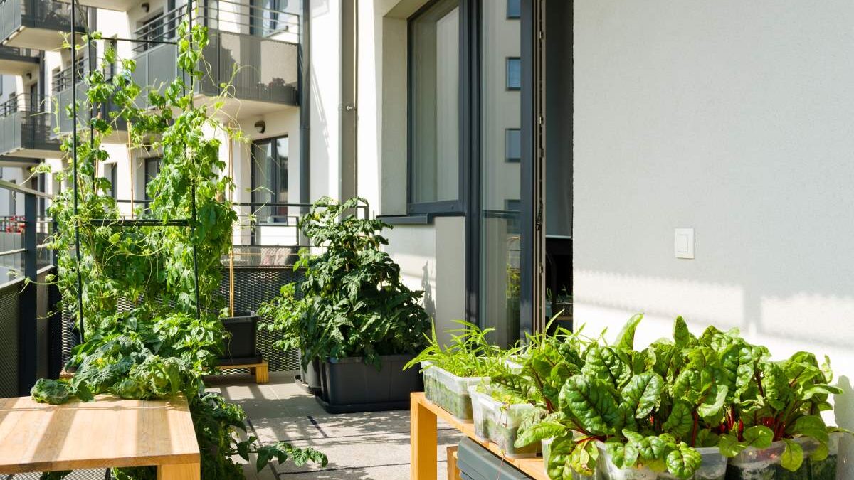 Cómo crear un huerto urbano en la terraza de tu casa