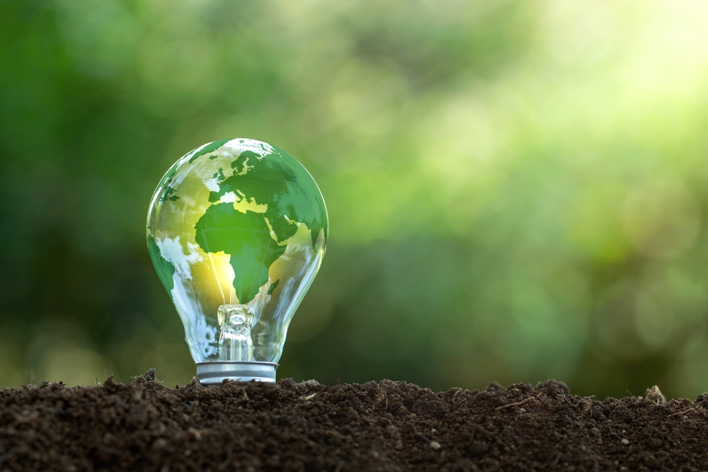 Cómo leer tu factura de la luz de forma eficiente
