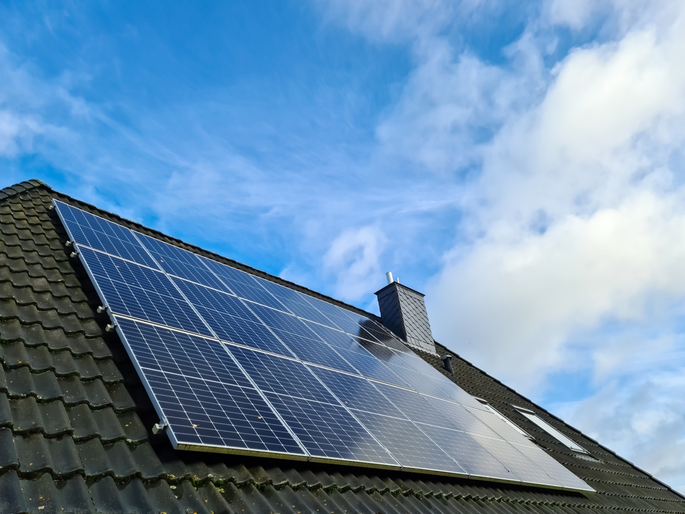 paneles solares